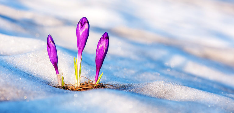 spring-real-estate-market