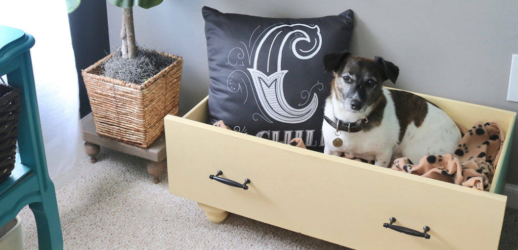 Dresser drawers repurposed as storage space; A dog sits inside