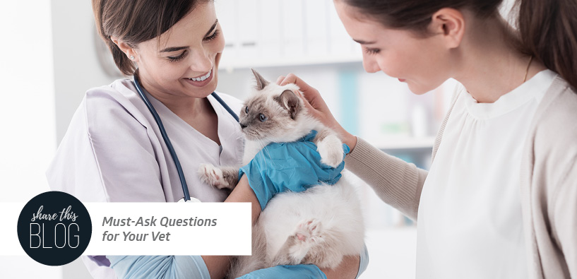 Must-Ask Questions for Your Vet