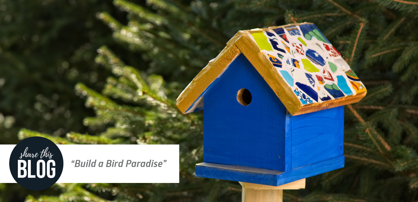 bird feeder craft